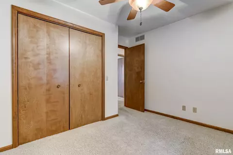 412 Violet Rdg, Chatham, IL 62629 photo 26