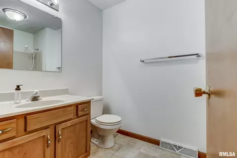 412 Violet Rdg, Chatham, IL 62629 photo 27