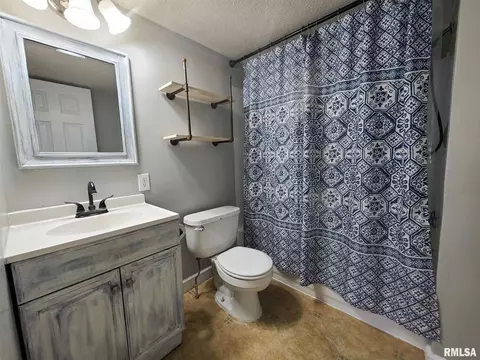 310 E Chestnut St, Chatham, IL 62629 photo 12