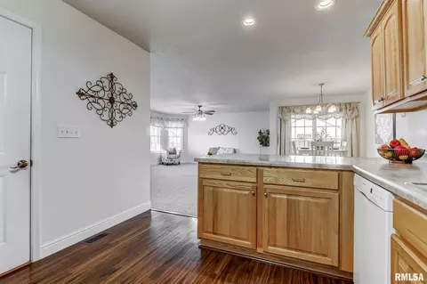 638 Williamson Ave, Chatham, IL 62629 photo 15