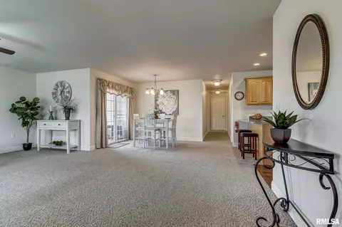638 Williamson Ave, Chatham, IL 62629 photo 7