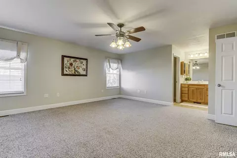 638 Williamson Ave, Chatham, IL 62629 photo 17