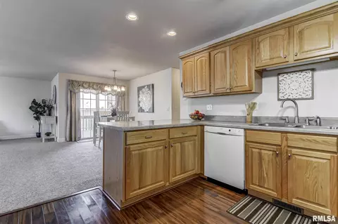 638 Williamson Ave, Chatham, IL 62629 photo 14