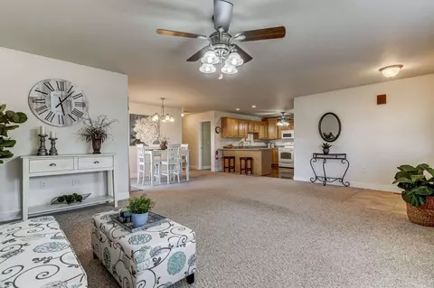638 Williamson Ave, Chatham, IL 62629 photo 2