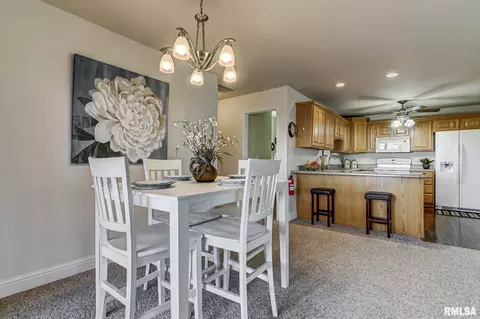 638 Williamson Ave, Chatham, IL 62629 photo 11