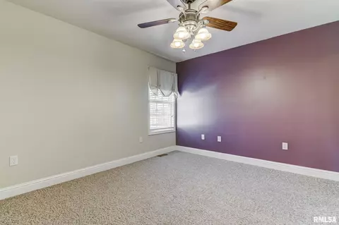638 Williamson Ave, Chatham, IL 62629 photo 21
