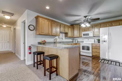 638 Williamson Ave, Chatham, IL 62629 photo 12