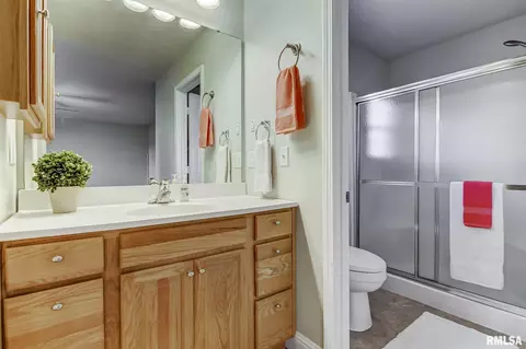 638 Williamson Ave, Chatham, IL 62629 photo 19
