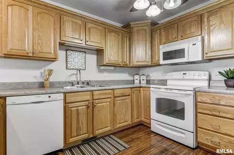 638 Williamson Ave, Chatham, IL 62629 photo 13