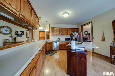 1420 James St, Springfield, IL 62703 photo 16