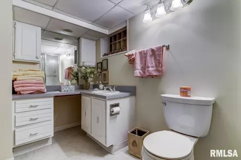 1328 Dial Ct, Springfield, IL 62704 photo 15
