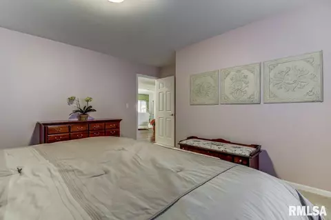 4901 Eagles Landing Dr, Springfield, IL 62711 photo 25