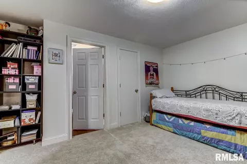 3725 Carney Blvd, Springfield, IL 62712 photo 43