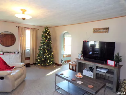 214 E Holmes St, Oneida, IL 61467 photo 12