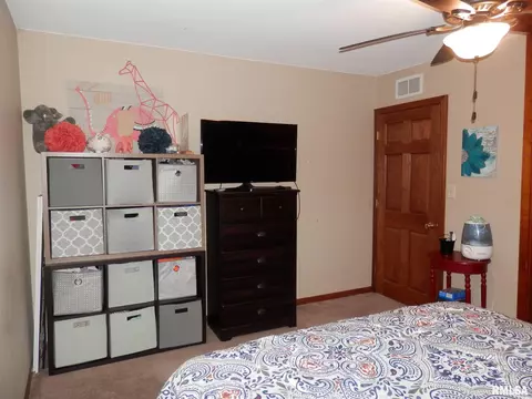 120 E Coal St, Wataga, IL 61488 photo 16