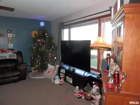 120 E Coal St, Wataga, IL 61488 photo 11