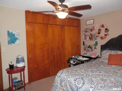 120 E Coal St, Wataga, IL 61488 photo 17