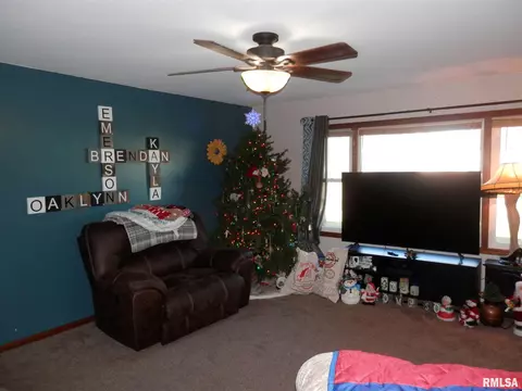 120 E Coal St, Wataga, IL 61488 photo 10