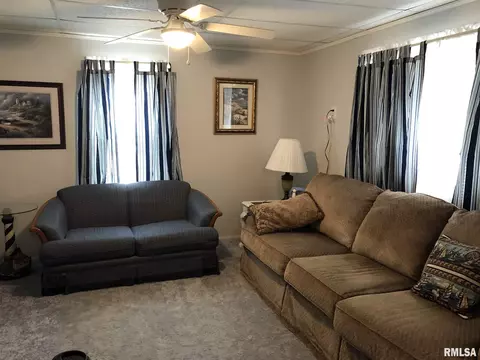 952 N Ohio St, Springfield, IL 62702 photo 11