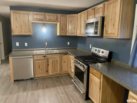 202 N Cedar St, Abingdon, IL 61410 photo 6