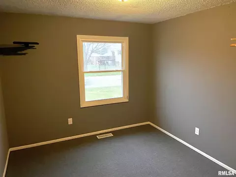 202 N Cedar St, Abingdon, IL 61410 photo 9