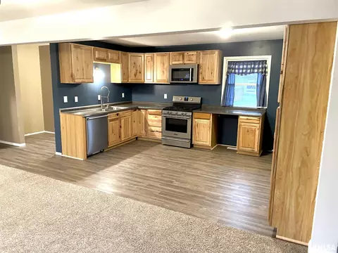 202 N Cedar St, Abingdon, IL 61410 photo 4