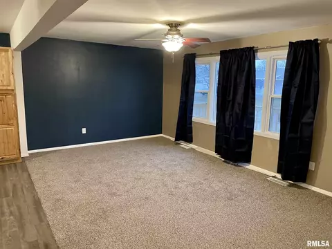 202 N Cedar St, Abingdon, IL 61410 photo 5