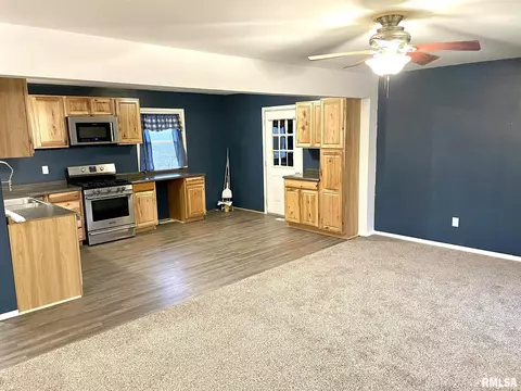 202 N Cedar St, Abingdon, IL 61410 photo 3