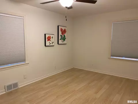 222 W Elliott Ave, Springfield, IL 62702 photo 10