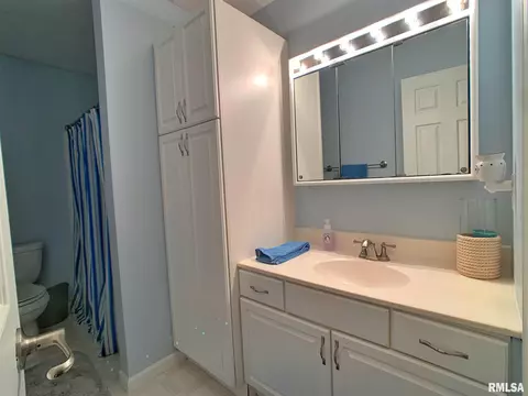 1116 Harmony Ct, Springfield, IL 62703 photo 22