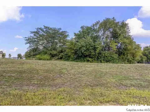 318 Ramblewood Rd, Chatham, IL 62629