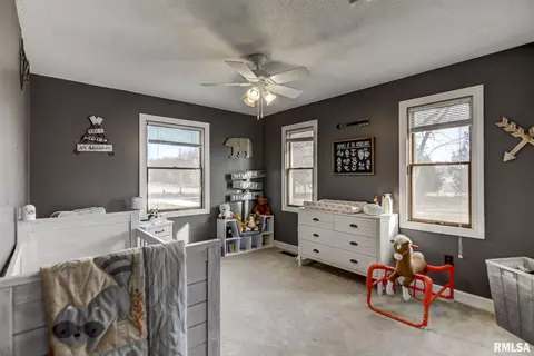 1372 E 800 N Rd, Owaneco, IL 62555 photo 22