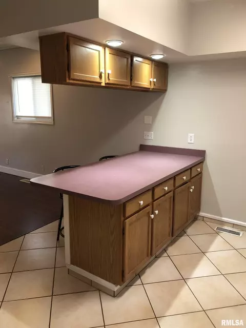 1123 N Franklin Ave, Springfield, IL 62702 photo 5