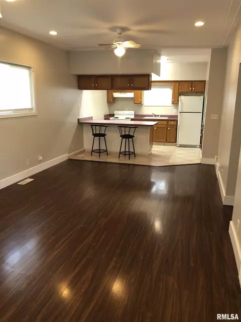 1123 N Franklin Ave, Springfield, IL 62702 photo 2