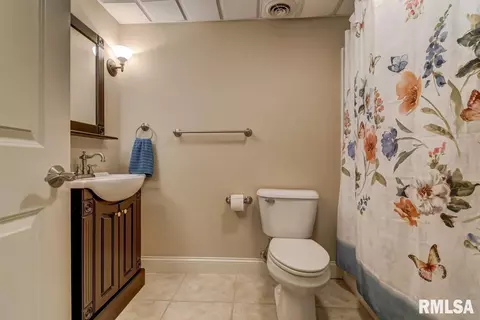 1424 Lake Pointe Ct, Springfield, IL 62712 photo 33