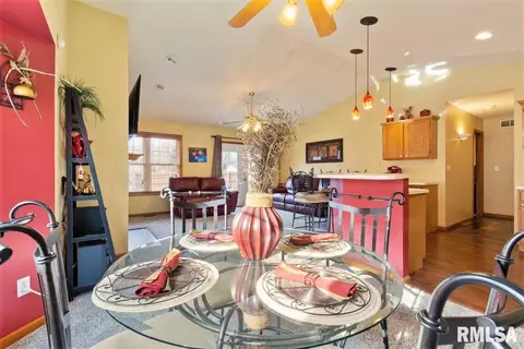 925 Knoll Pointe Pl, Springfield, IL 62703 photo 10