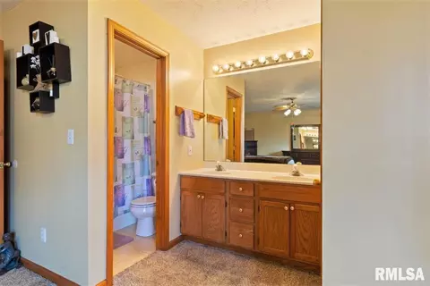 925 Knoll Pointe Pl, Springfield, IL 62703 photo 27