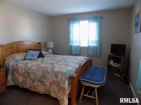 463 S Durkin Dr, Springfield, IL 62704 photo 13