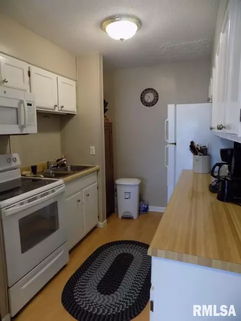 463 S Durkin Dr, Springfield, IL 62704 photo 9