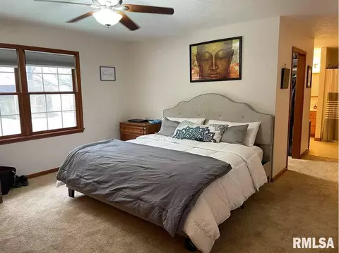 1 Locust Dr, Franklin, IL 62638 photo 23