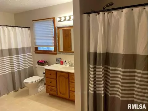 1 Locust Dr, Franklin, IL 62638 photo 25
