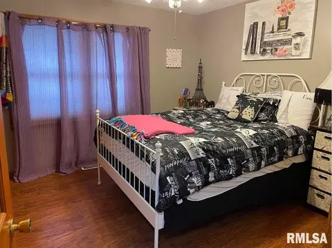 1 Locust Dr, Franklin, IL 62638 photo 20