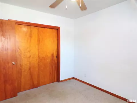 403 W Snyder St, Abingdon, IL 61410 photo 25