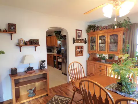 403 W Snyder St, Abingdon, IL 61410 photo 19