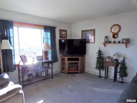 403 W Snyder St, Abingdon, IL 61410 photo 13