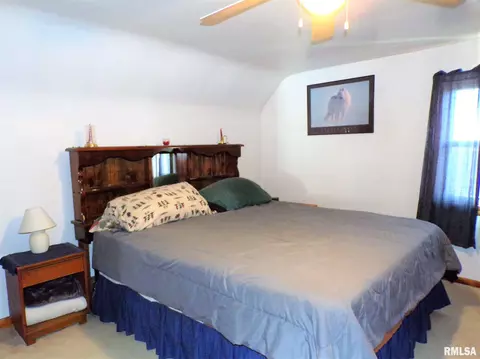 403 W Snyder St, Abingdon, IL 61410 photo 29