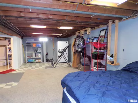403 W Snyder St, Abingdon, IL 61410 photo 37