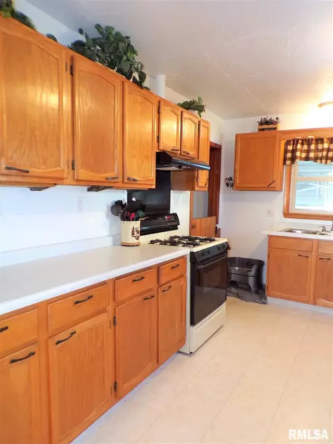 403 W Snyder St, Abingdon, IL 61410 photo 21