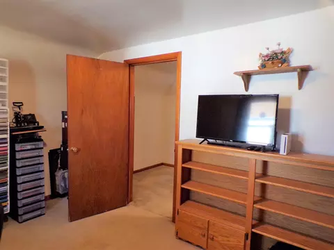 403 W Snyder St, Abingdon, IL 61410 photo 34