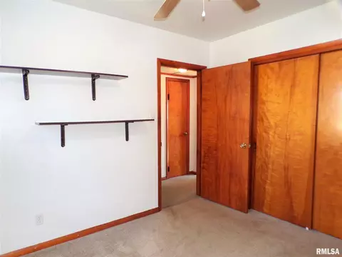 403 W Snyder St, Abingdon, IL 61410 photo 26